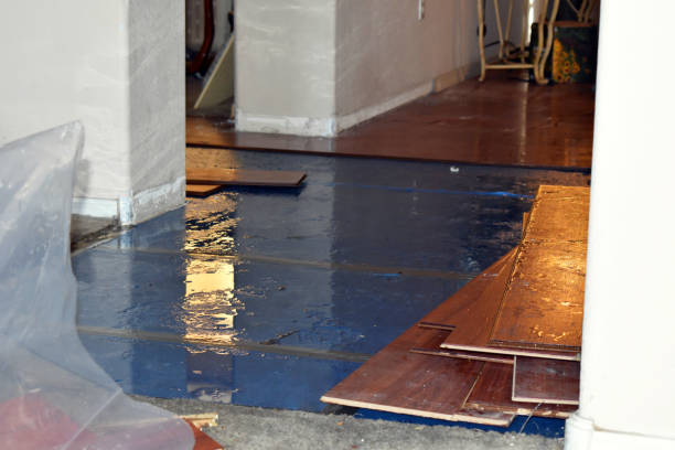 Professional Emergency Water Removal technician working in Temple, ME